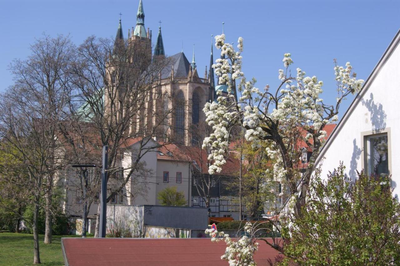 Hotelpension Am Dom Erfurt Exterior foto
